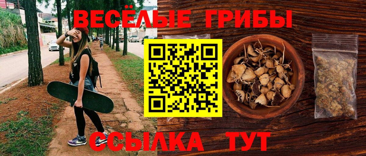 Псилоцибиновые грибы мухоморы Междуреченск